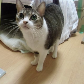 おとなしいです～　連れていって！