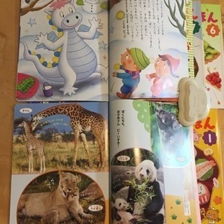 年少さん向け絵本12冊セットの画像