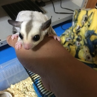小動物お好きな方^_^