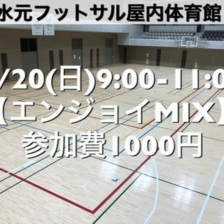 【エンジョイMIX】水元総合スポーツセンター　屋内体育館 1/2...