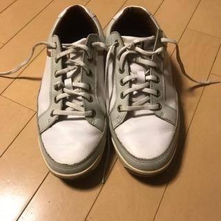 ゴルフシューズ差し上げます決まりました