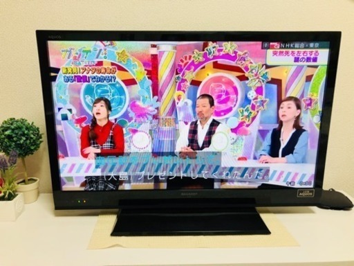 液晶テレビ シャップー