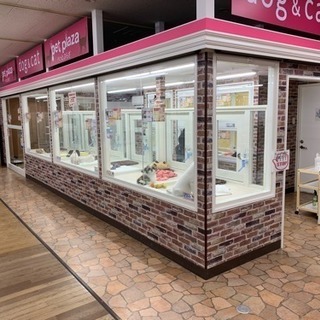✂︎トリマーさん募集✂︎ 四国中央店の画像