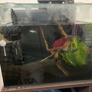 水槽セット