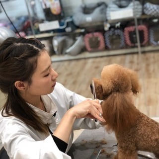 ✂︎トリマーさん募集✂︎の画像