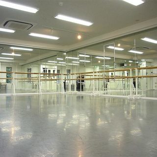 【未経験者歓迎】基礎からプロ志向までの本格的ベリーダンス教室！の画像