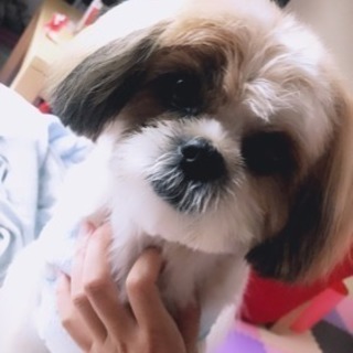 3月で2歳になります