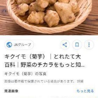 菊芋の種芋が欲しいです。