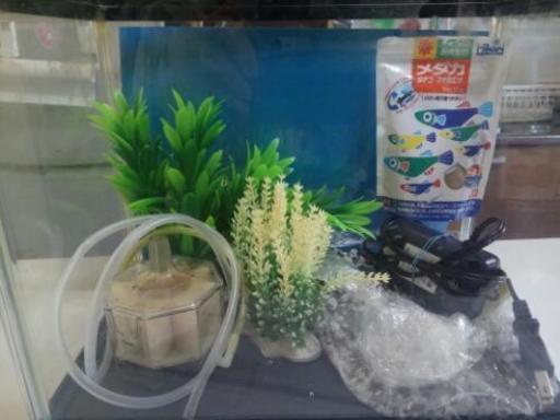 値下げ!!小さめの水槽☆アクアリウムセット