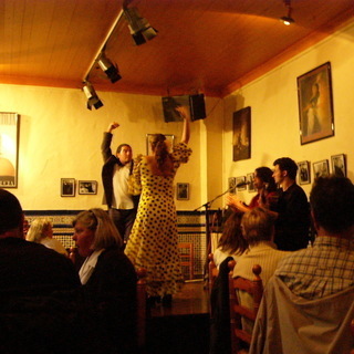 初めてのスペイン語 Flamenco愛好者 旅行計画中の人に！の画像