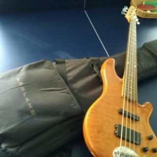 Lakland skylineシリーズ5弦ベース