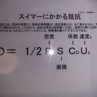 水泳個人レッスン【先着順】かえる先生の画像