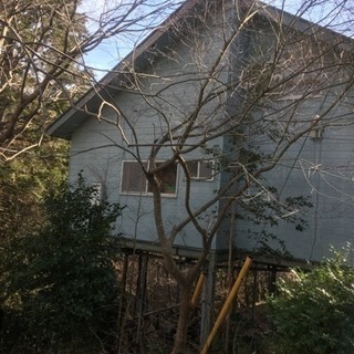 樹木 伐採 格安 安全にいたします。