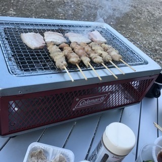 【もうすぐ締切】1月19日(土)〜20日(日)にキャンプします(・ω<) - 品川区