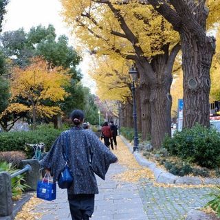 明日の昼から鎌倉で遊べる方募集