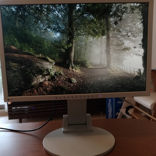 EIZO FlexScan S2231W [22インチ]