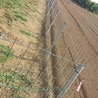 アニマルフェンスの作成のお願いの画像