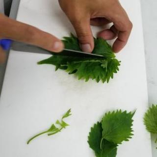 モクモクコツコツ系の簡単作業でーす。一緒に働きませんか？の画像