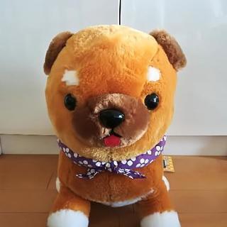 《お取引中》豆しば三兄弟　豆三郎