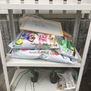 「農業」に興味がある人。畑が必要な方！！ - 和歌山市