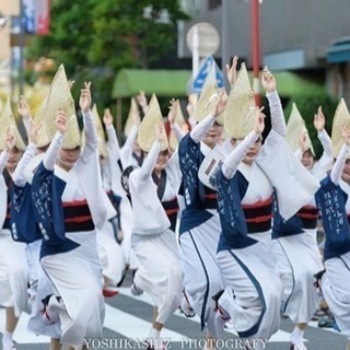 阿波踊りに少しでも興味のある方大募集♪
