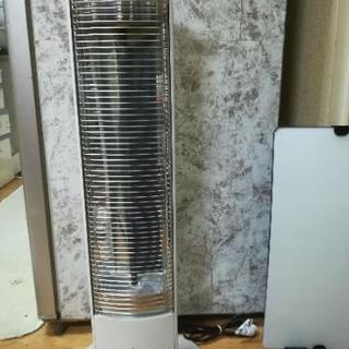 引き取り先決まりました。