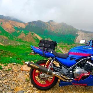 『値下げしました』GSX250FX バリオス2 実働 売りますの画像