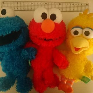 SESAME STREET(セサミストリート)
