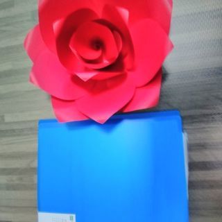 バラのインテリア