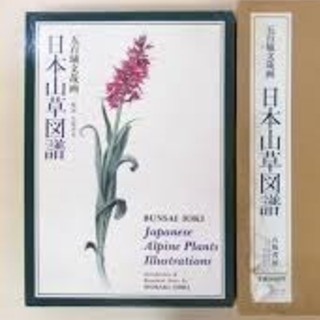 日本のポタ二カルアート