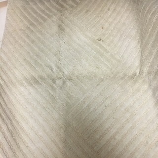 カーペット差し上げます