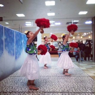 木更津子供フラダンスあーねらふらすたじお生徒募集