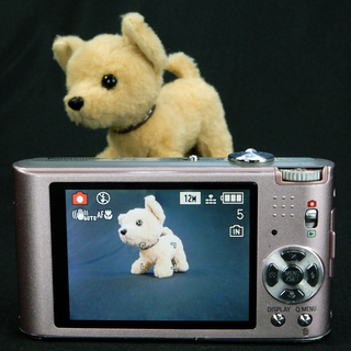 Panasonic LUMIX FX60 デジタルカメラ 1210万画素 光学5倍ズーム スイートピンク DMC-FX60-P  Usedの画像