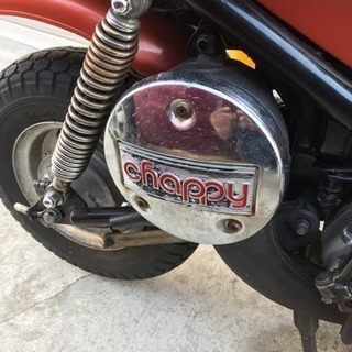 (チャッピー)の画像