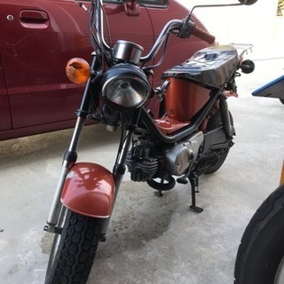 (チャッピー)の画像