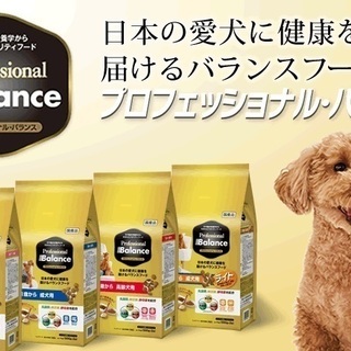 【ドッグフード】【新品】プロフェッショナル・バランス成犬用　１ｋ...