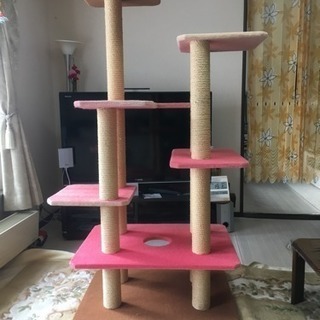 キャットタワーお譲りします！