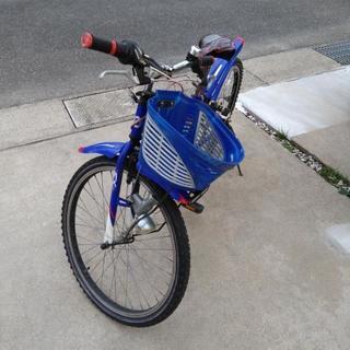お話中🌟自転車🌟