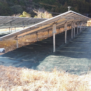 「急募集」古座川町下露で、防草シートにガムテープを張る仕事を一緒にして下さい（太陽光パネル周辺）の画像