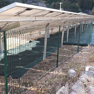 「急募集」古座川町下露で、防草シートにガムテープを張る仕事を一緒にして下さい（太陽光パネル周辺）の画像