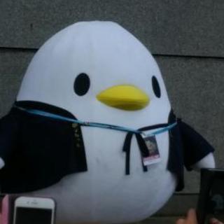 熊本案内してくれる人募集