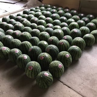 アルバイト募集 時給1000円〜の画像