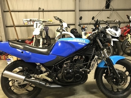 青RZ250Rゴロワーズ カラー (AKR85) 浜松のヤマハの中古あげます