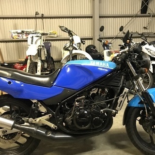 青RZ250Rゴロワーズ カラーの画像