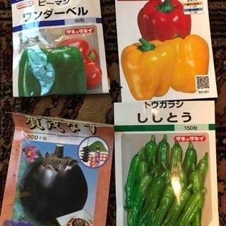 【コメント受付ページ】★送料込★野菜、果樹の種6種類350円