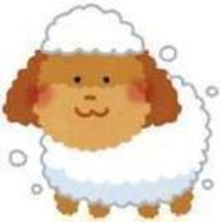 トリミングに空きが有ります・30%Off
