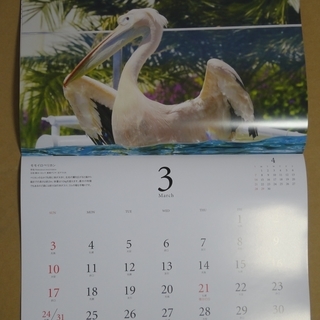 サンシャイン水族館 aquarium カレンダー 2019の画像