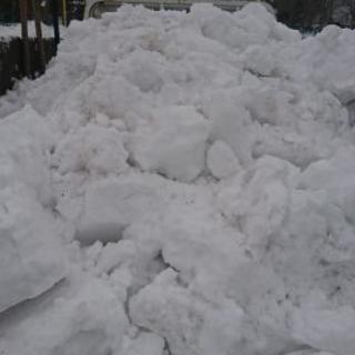 排雪 除雪 函館市内