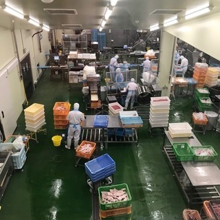 日払いOK！！🔰城陽市　食品製造の加工・梱包などの軽作業＜74-A＞の画像
