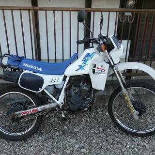 登録書類付 実動 2スト ホンダ MTX50R AD06-130...